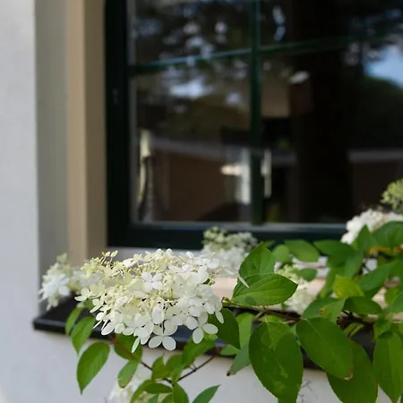 Villa Spacious Luxury Home/villa - Ruime Luxe Vakantiewoning/-villa *