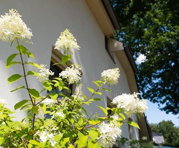 Spacious Luxury Home/villa - Ruime Luxe Vakantiewoning/-villa