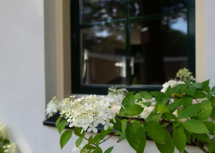 Villa Spacious Luxury Home/villa - Ruime Luxe Vakantiewoning/-villa *