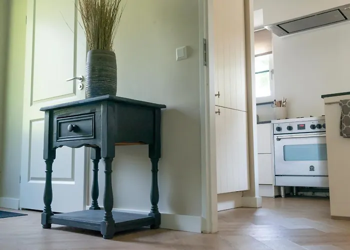 Spacious Luxury Home/villa - Ruime Luxe Vakantiewoning/-villa Villa *