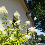 Spacious Luxury Home/villa - Ruime Luxe Vakantiewoning/-villa