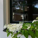 Villa Spacious Luxury Home/villa - Ruime Luxe Vakantiewoning/-villa *